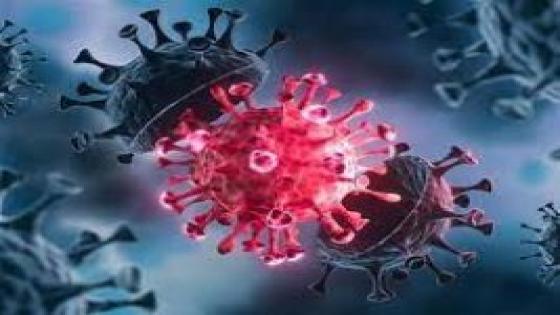 انخفاض حالات الإصابة بفيروس كورونا وعدم تسجيل حالات وفاة 