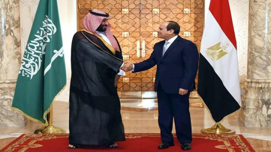 شراكة سعودية – مصرية وتعاون ثنائي بين البلدين